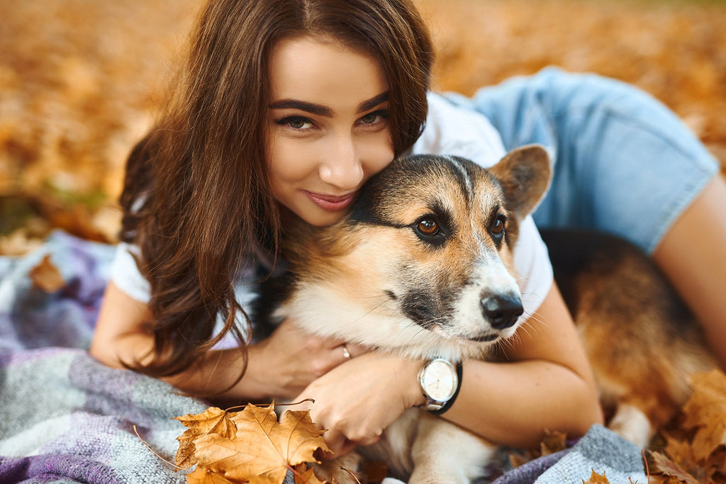 最新のアンチエイジング治療：犬を飼う？