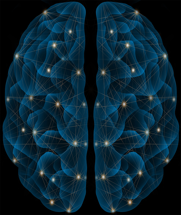 Strălucirea creierului la orice vârstă: marginea longevității Nutriop