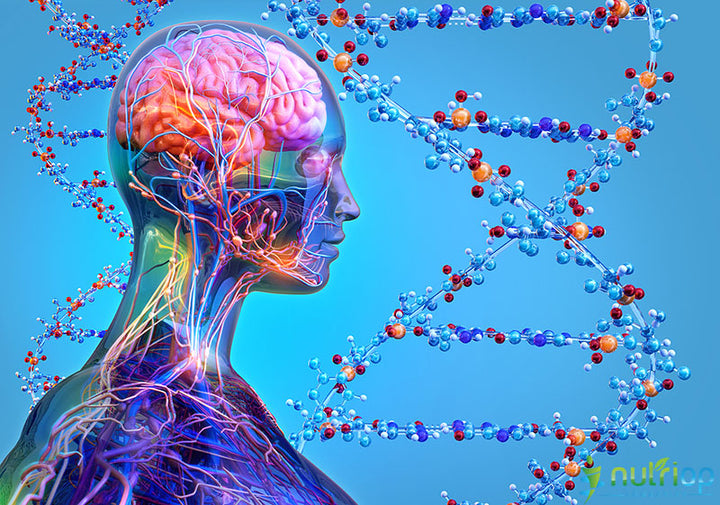 Decoding Timelessness: The Blueprint to Everlasting Vitality