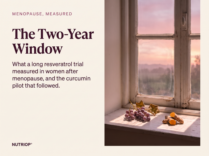 MENOPAUSE, MEASURED — The Two-Year Window: What a long resveratrol trial measured in women after menopause, and the curcumin pilot that followed. A tall window at dawn with rose-plum light, a grape vine and a turmeric root.