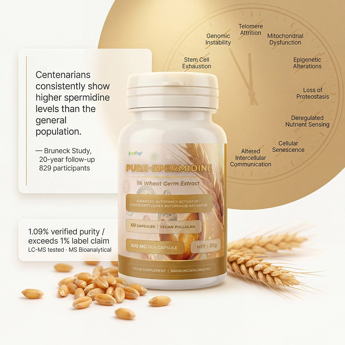 Nutriop® Pure Spermidine 10mg — Advanced Autophagy Activator (60 Capsules)