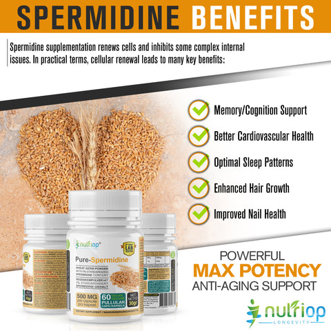 Image of Nutriop® Pure Spermidin – maximale Wirksamkeit – 10 mg – 30 Portionen