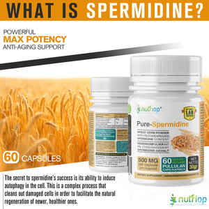 Spermidina pura Nutriop® - Potenza massima -10mg - 30 porzioni